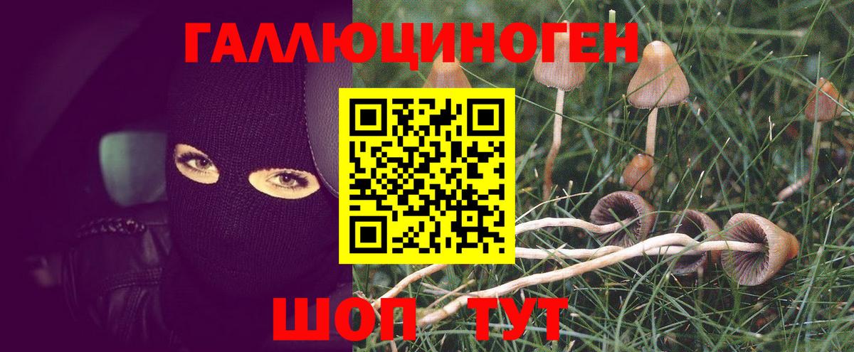 Великие Луки  Галлюциногенные грибы Magic Shrooms  Псилоцибиновые грибы мухоморы  Вход с VPN 