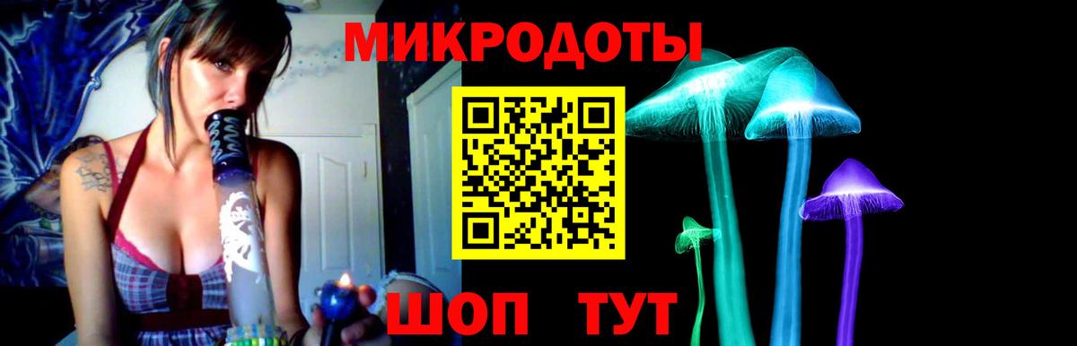 Псилоцибиновые грибы Cubensis Великие Луки